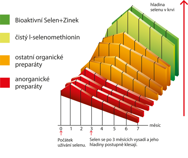 Graf porovnávající hladinu selenu v těle po užívání různých preparátů se selenem.