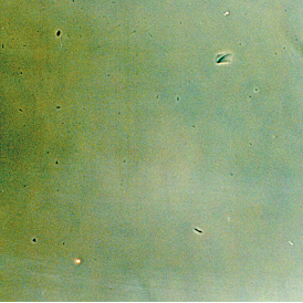 Foto z mikroskopu ukazující homogenní směs rozpuštěných sněhových vloček